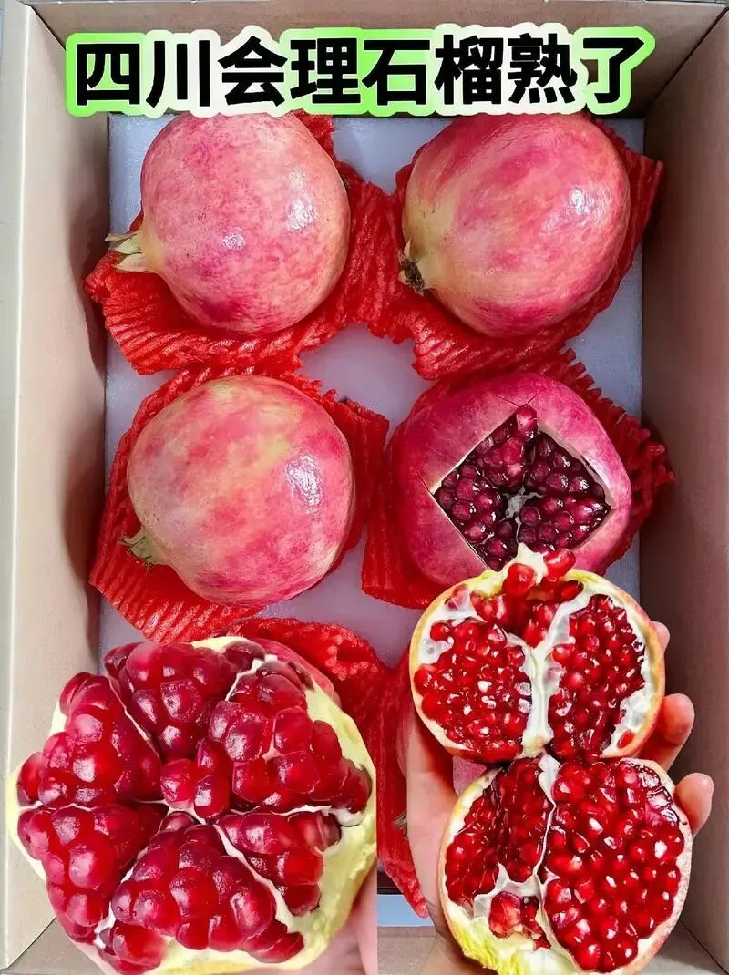 高职单招的第五个出路:市场营销拚网红经济