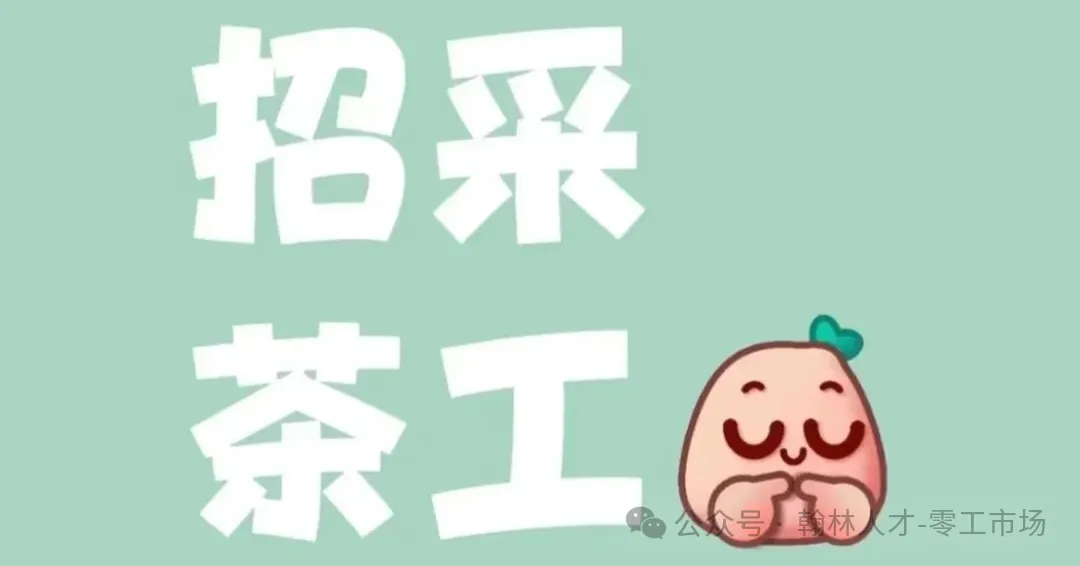 【急招采茶工】汉滨区零工市场(江南)站招聘大量采茶工
