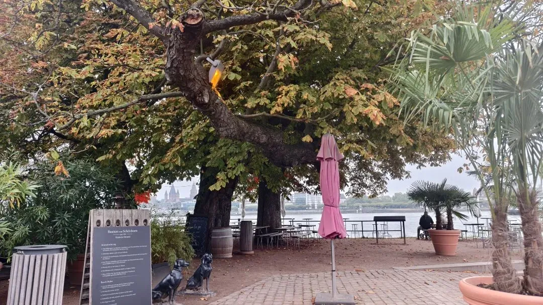 产品经理的困惑之卖点不被营销认可