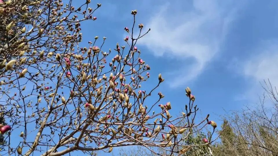 想真正学会营销?这5本书,建议读上10遍