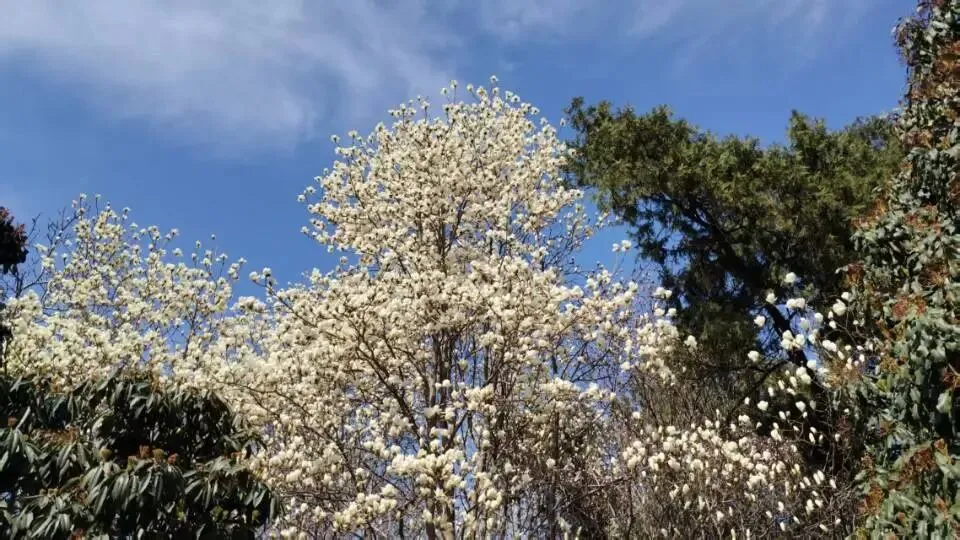 想真正学会营销?这5本书,建议读上10遍