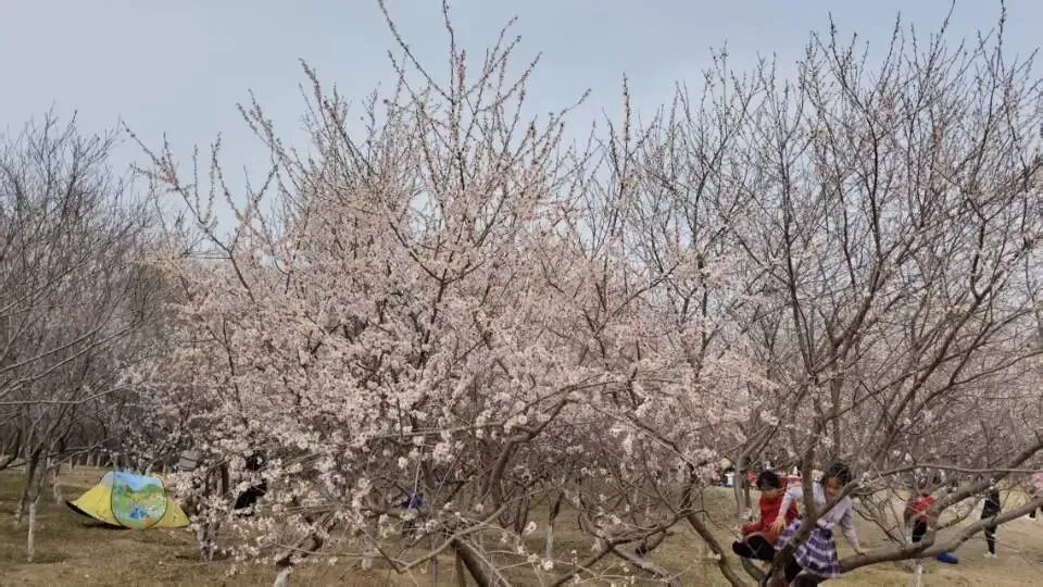 想真正学会营销?这5本书,建议读上10遍