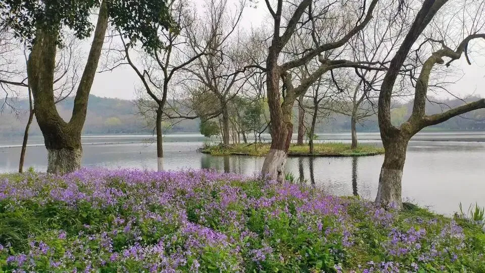 想真正学会营销?这5本书,建议读上10遍