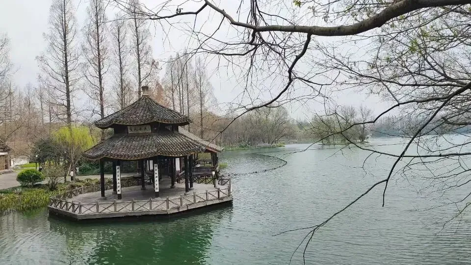 想真正学会营销?这5本书,建议读上10遍