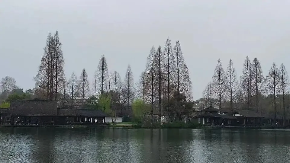 想真正学会营销?这5本书,建议读上10遍