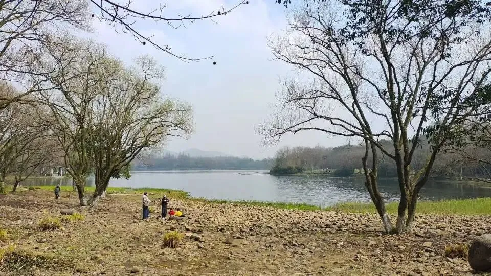 想真正学会营销?这5本书,建议读上10遍