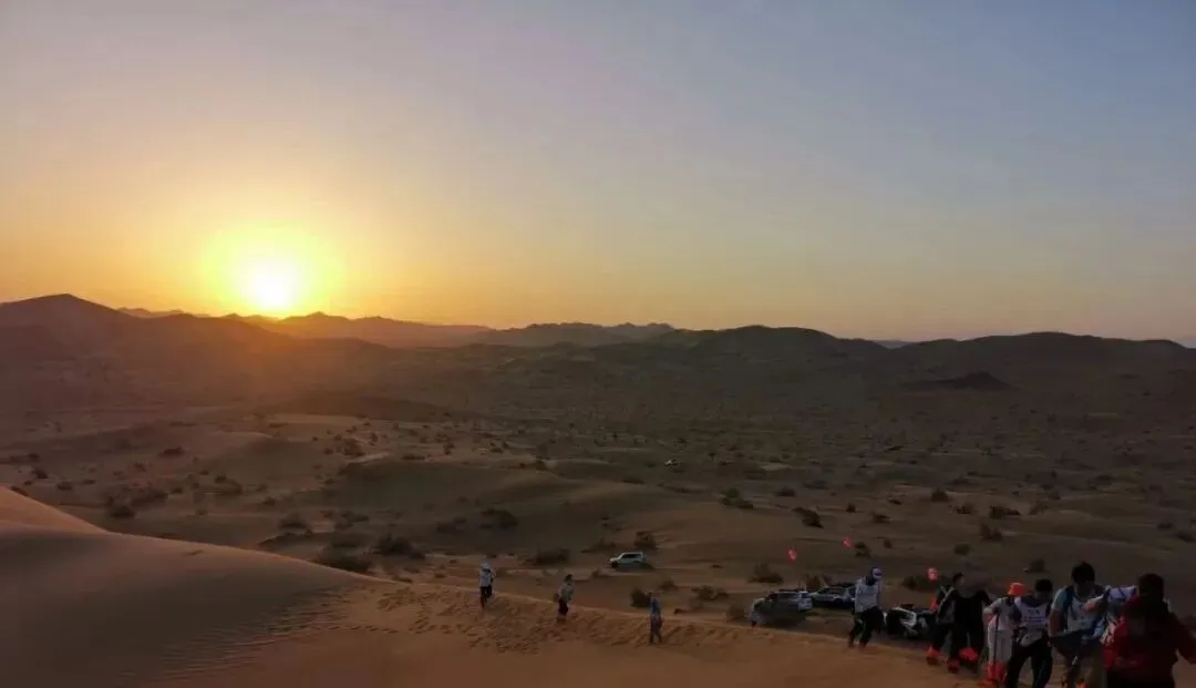 想真正学会营销?这5本书,建议读上10遍