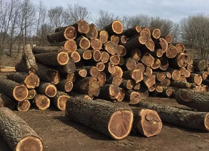 关税重压下越南木材突围:转向45国市场,绿色转型成破局关键