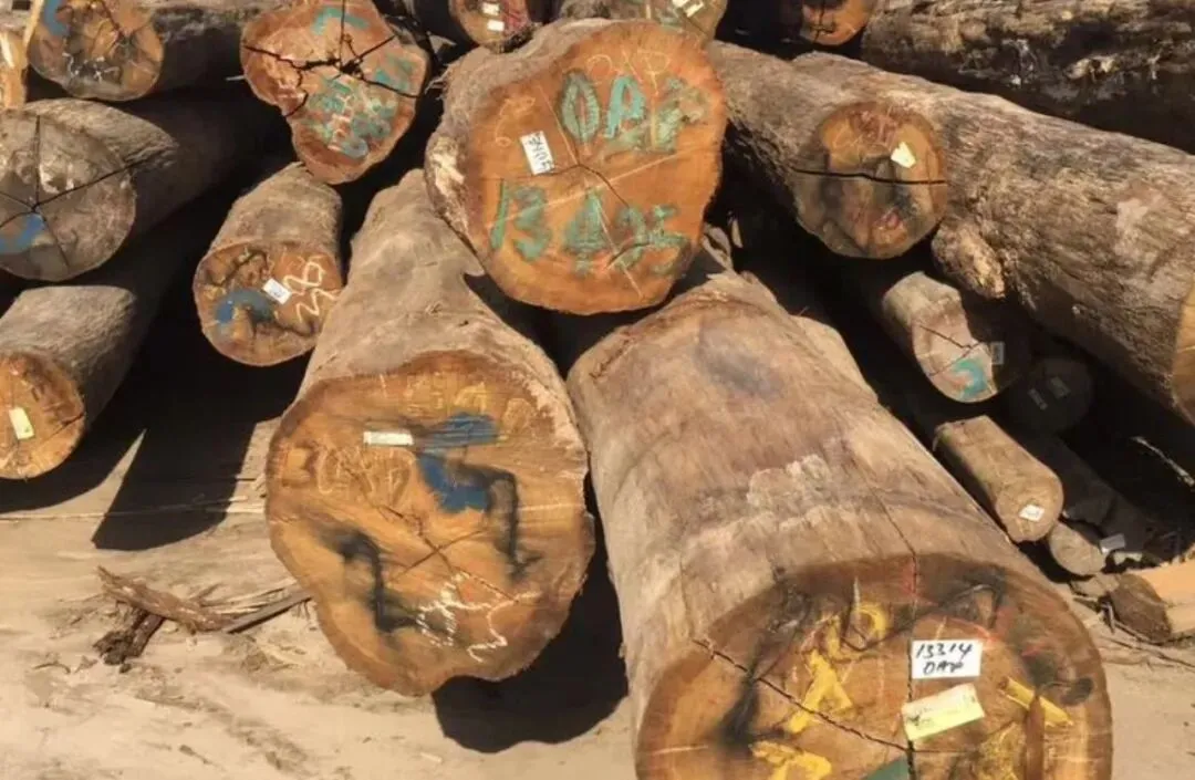 关税重压下越南木材突围:转向45国市场,绿色转型成破局关键