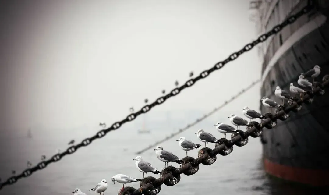 2026年加密市场还能玩吗?给b圈迷茫的朋友们一些建议