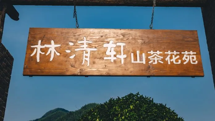 两周获客80万,林清轩震动阿里高层,创始人道出新零售的底层逻辑