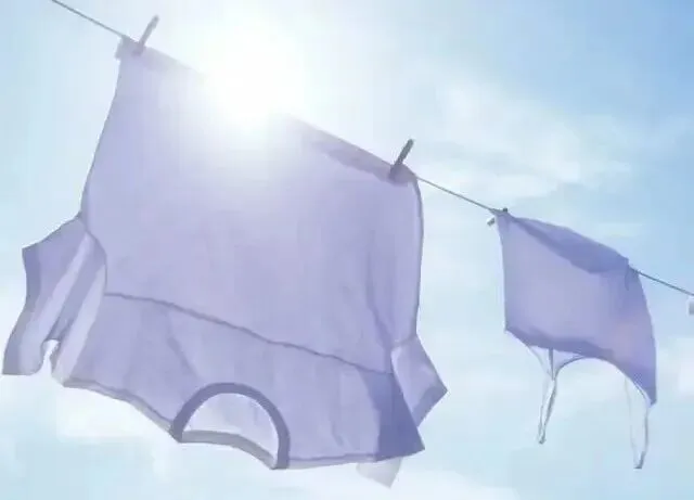 全球精准去污洗衣产品市场预计到2036年将达到51亿美元