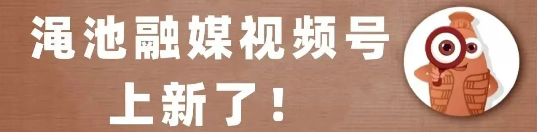 县市场监督管理局丨聚焦风险强培训 靶向发力严指导