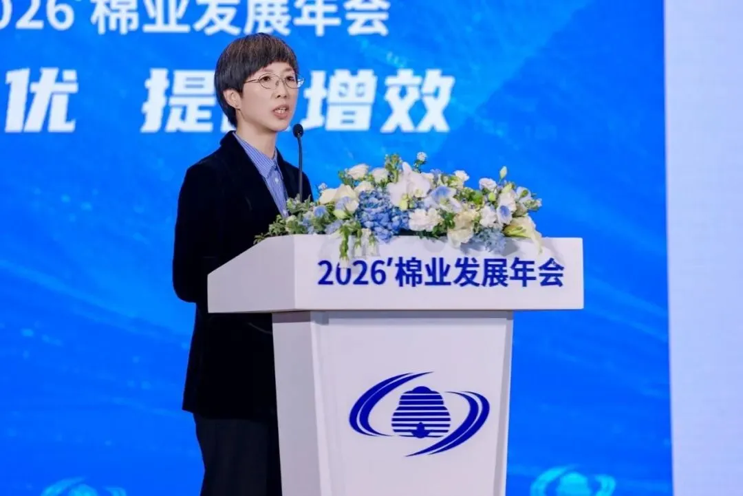 张曼:2026年全球棉花市场形势分析及展望