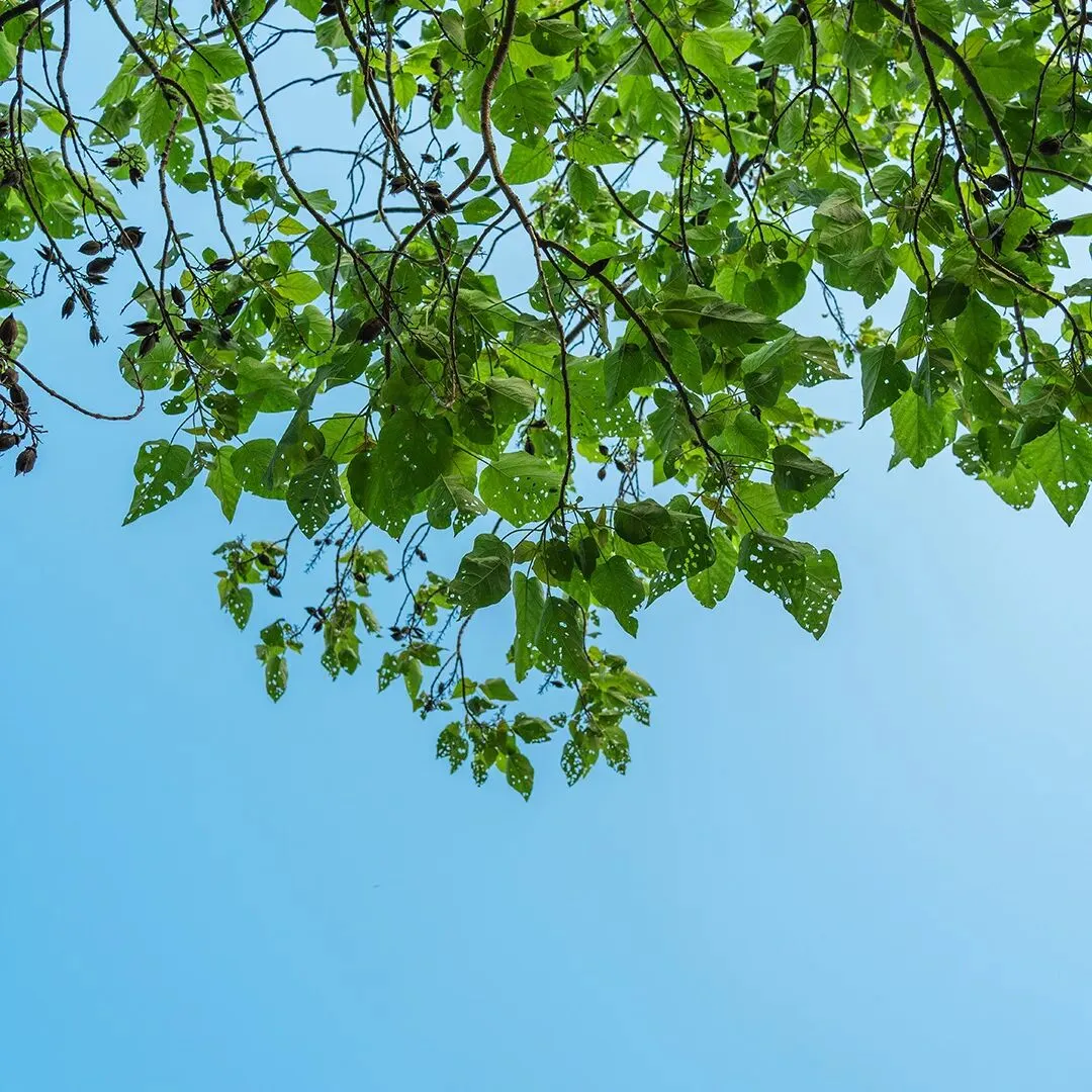 辟谷行业常见四大营销套路