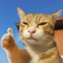 2026年3月深圳市场监管局出手了:深圳地址挂靠址红本白本费用价格一览!注册地址接收信函,配合拍照,一对一地址!告别地址异常!