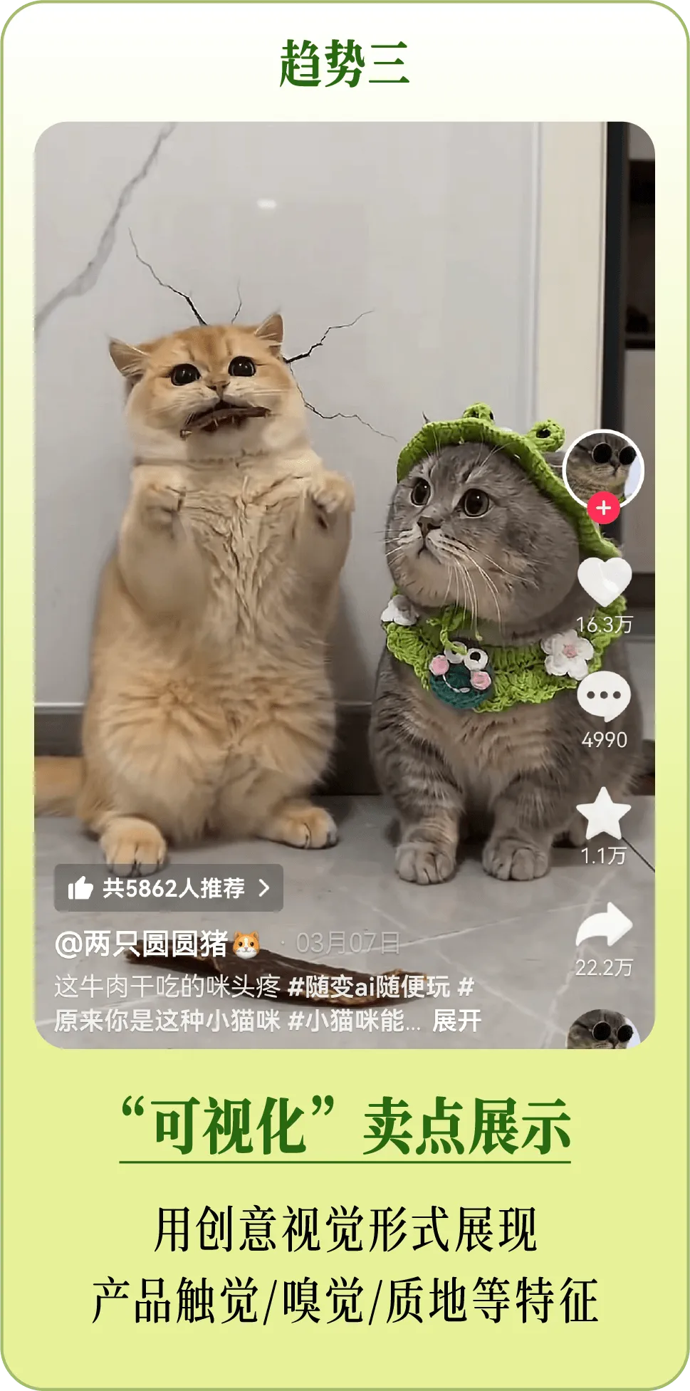 宠物行业春日营销指南发布