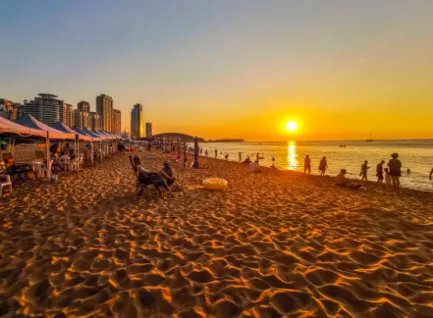 酒店创收之门:定价、预测、营销策略、获客渠道创新…收益管理实战技法,8月相聚青岛