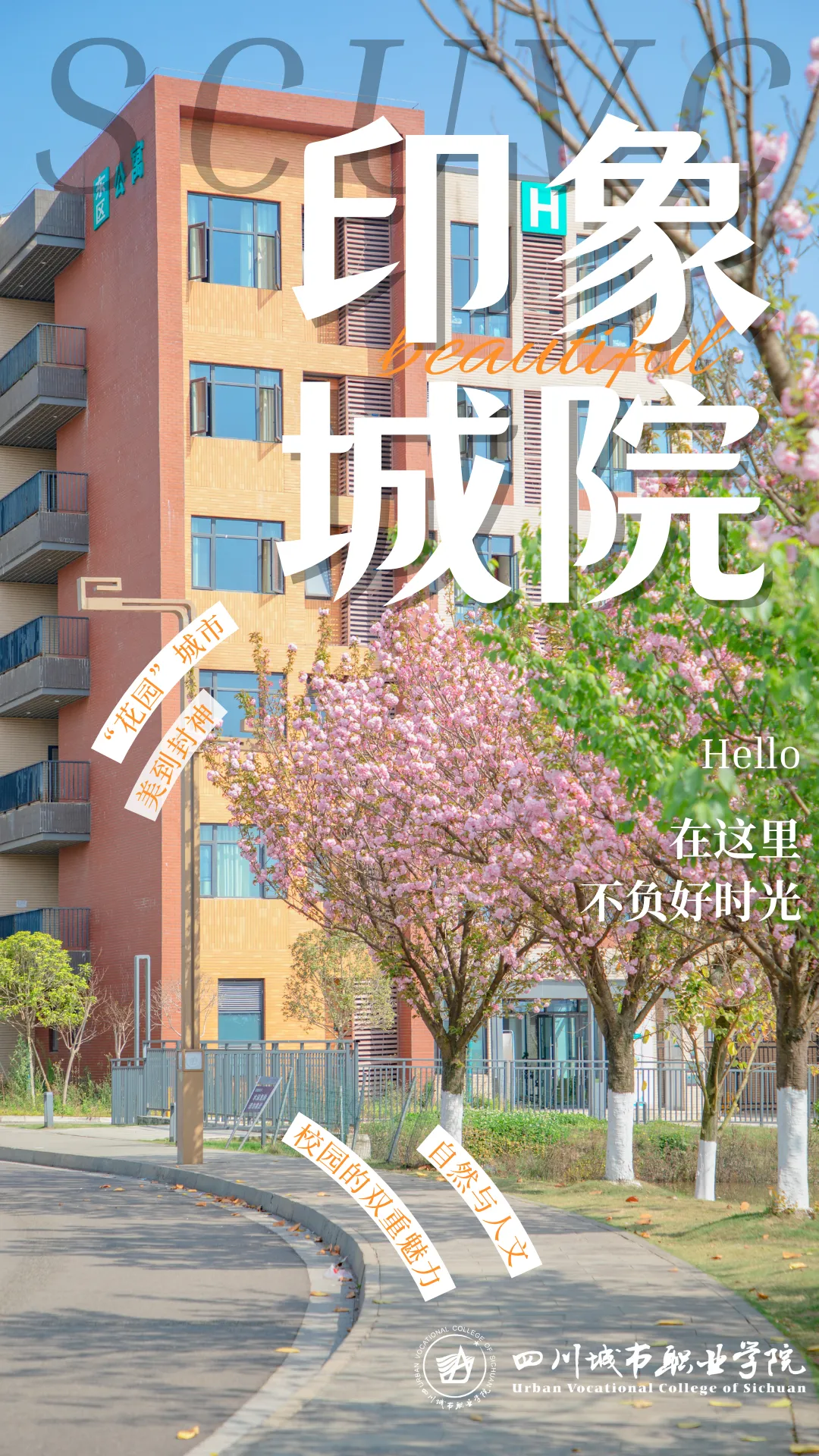 城院 • 王牌专业 | 计算机网络技术:网络与安全人才紧缺,竞争力强、薪资高