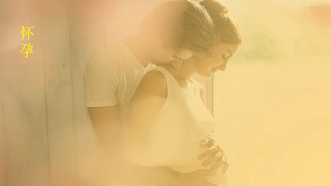 婚纱品牌小红书营销方案