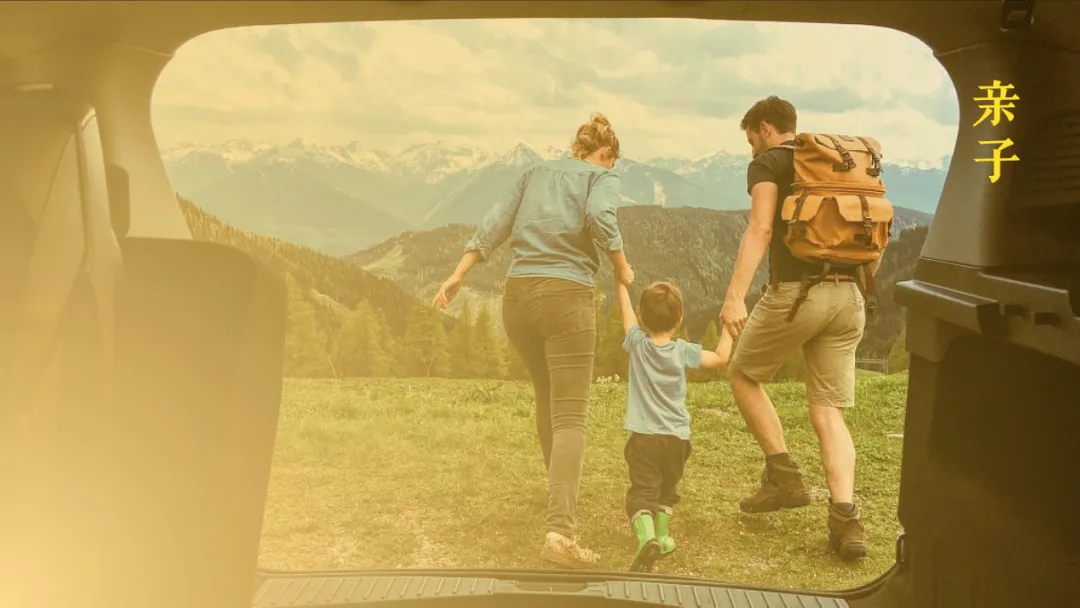 婚纱品牌小红书营销方案