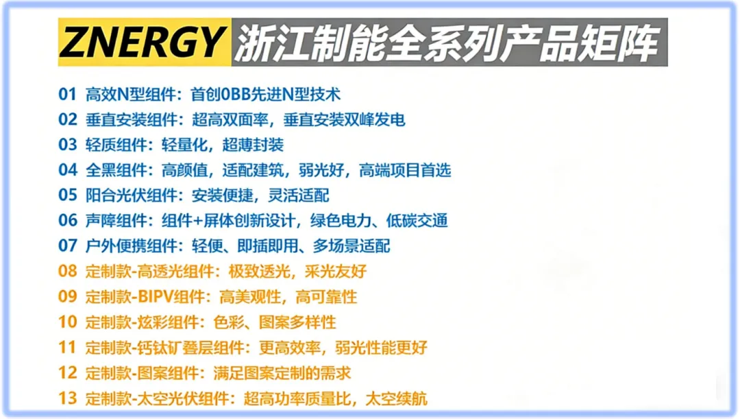 共拓非洲新能源市场!浙江制能与非洲代表共商合作新机遇