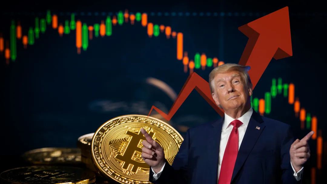 特朗普放假消息操纵金融市场,老鼠提前五分钟买入