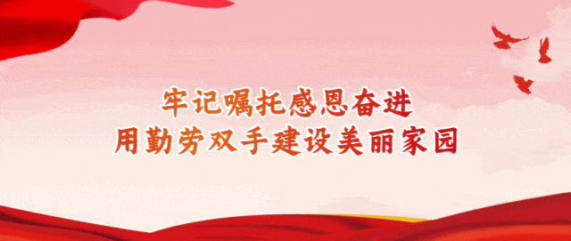 略阳县市场监督管理局拟强制注销公司登记公告