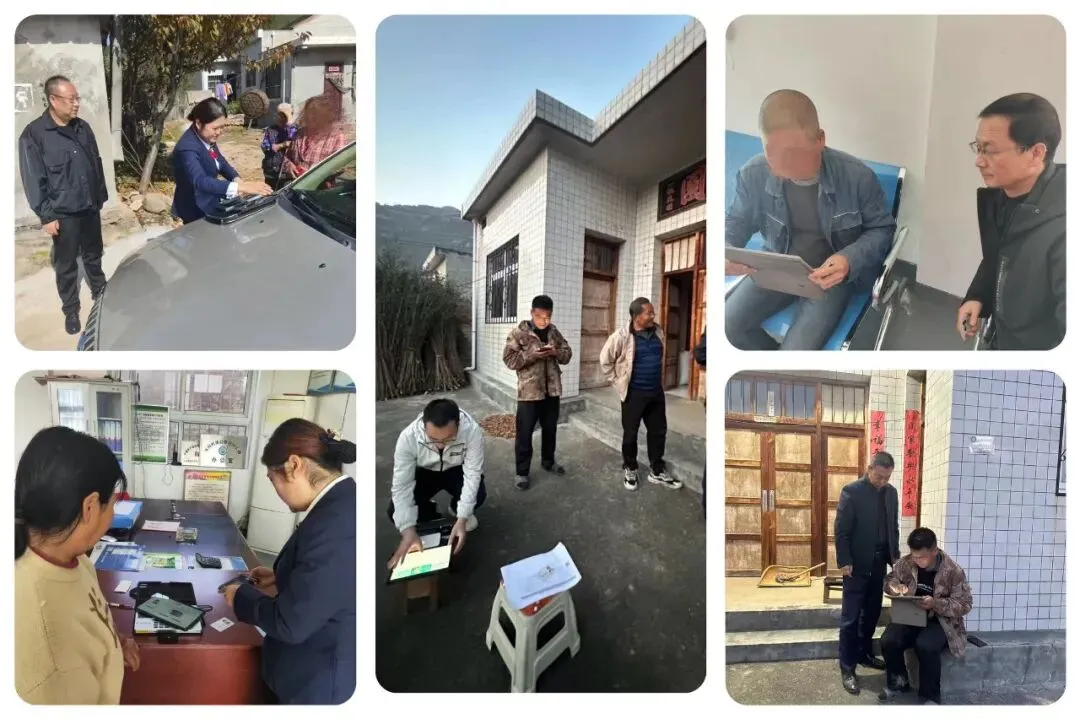 陈仓联社“新禾行动”旺季营销工作纪实(第二十八期)