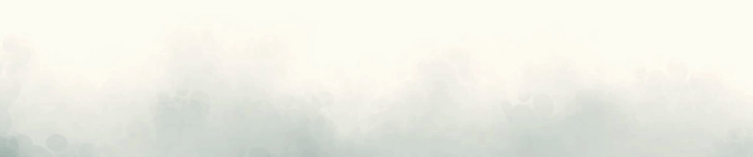 从热闹到门道,豪华MPV市场为什么还是极氪009最稳?