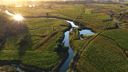 【山西市场网】朔州的春天,从桑干河的候鸟开始