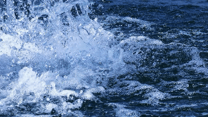 【山西市场网】朔州的春天,从桑干河的候鸟开始