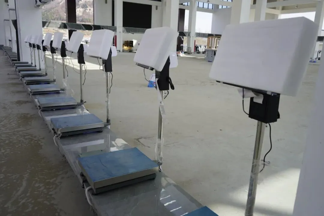 4月新市场启用!就在岚山这里→