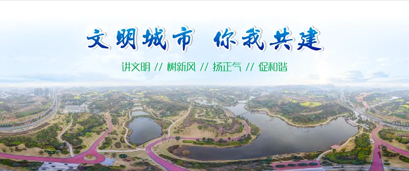 重拳出击整治市场乱象 自贡高新区“春雷行动”显成效