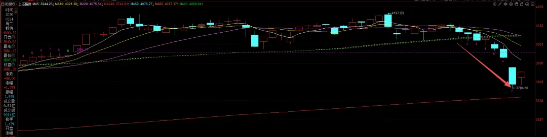 每日市场数据:缩量普反