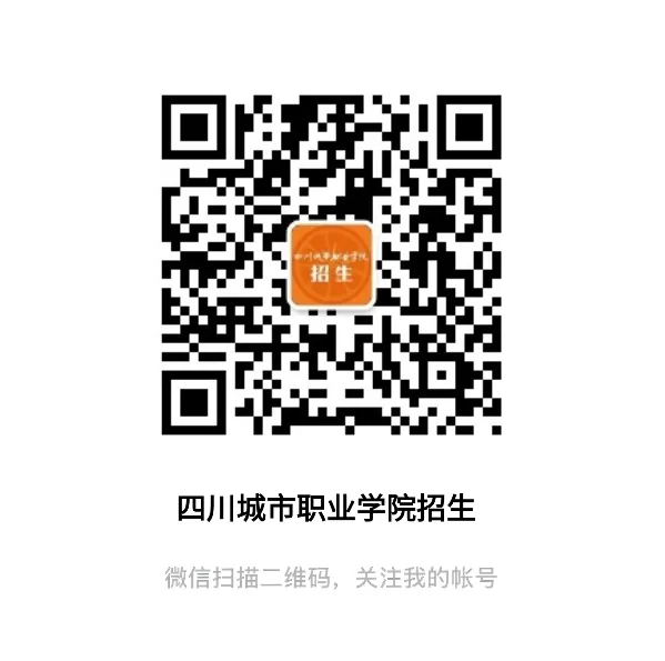 城院•王牌专业 | 计算机应用技术:乘“云”而上,大有可为!抢占川渝数字经济新风口