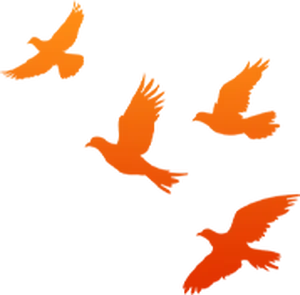 【扫黄打非】联合检查促规范 文化市场树新风