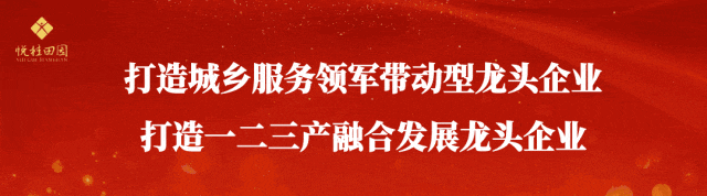 与国控同行 悦桂奋楫者|营销攻坚勇破局 实干笃行显担当!⑥