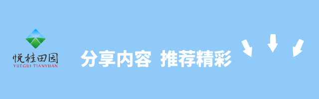 与国控同行 悦桂奋楫者|营销攻坚勇破局 实干笃行显担当!⑥