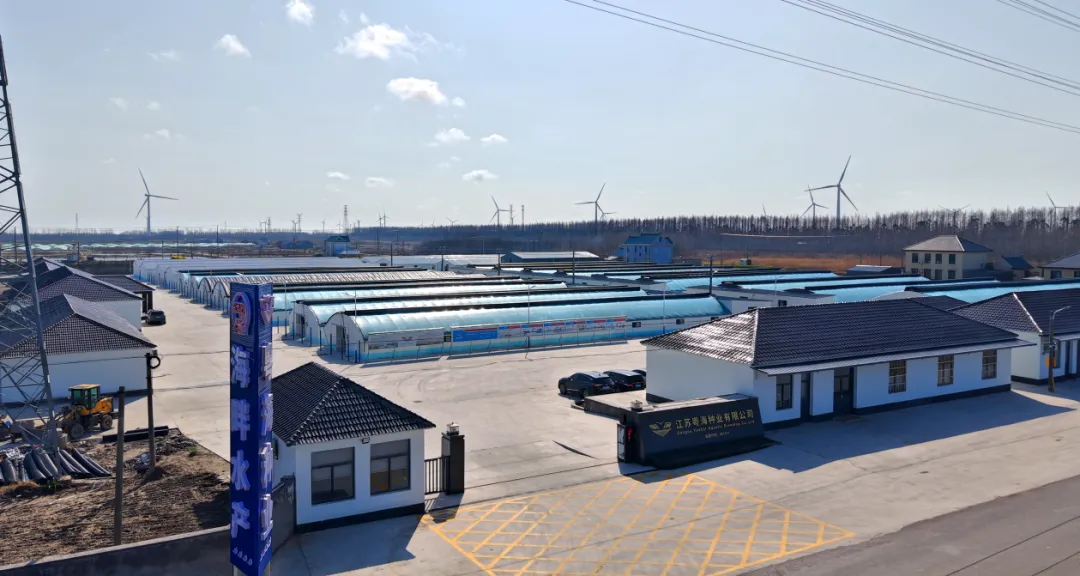 年产能60亿尾!粤海饲料布局华东虾苗市场,以科技赋能对虾产业升级