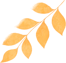 计算机科学技术学院开展“开学第一课”系列活动