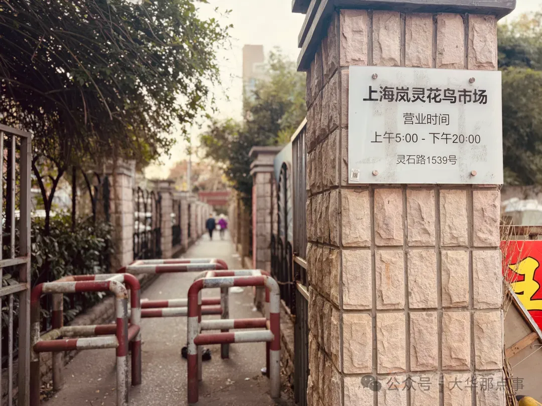 扩散!岚灵花鸟市场重要公告!部分商户将搬迁至大华!