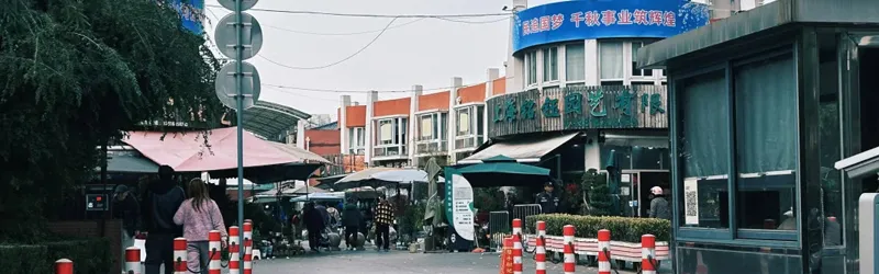 扩散!岚灵花鸟市场重要公告!部分商户将搬迁至大华!