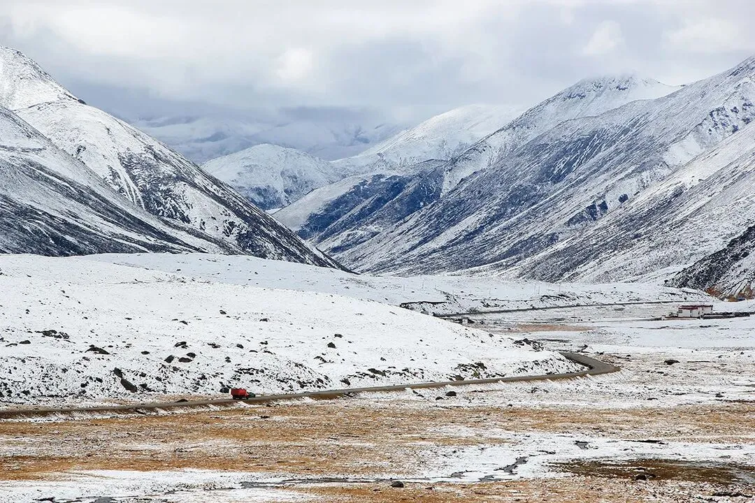 中国电子举办2026年市场营销和品牌管理骨干培训班