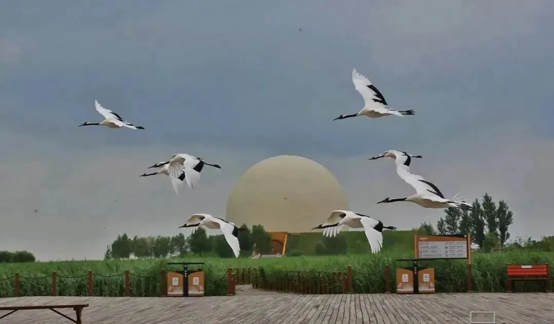 上海市场独家重磅推出《东极穿越北极》大型自驾,唯在黑龙江-2026不可复制的北境自驾史诗之旅!