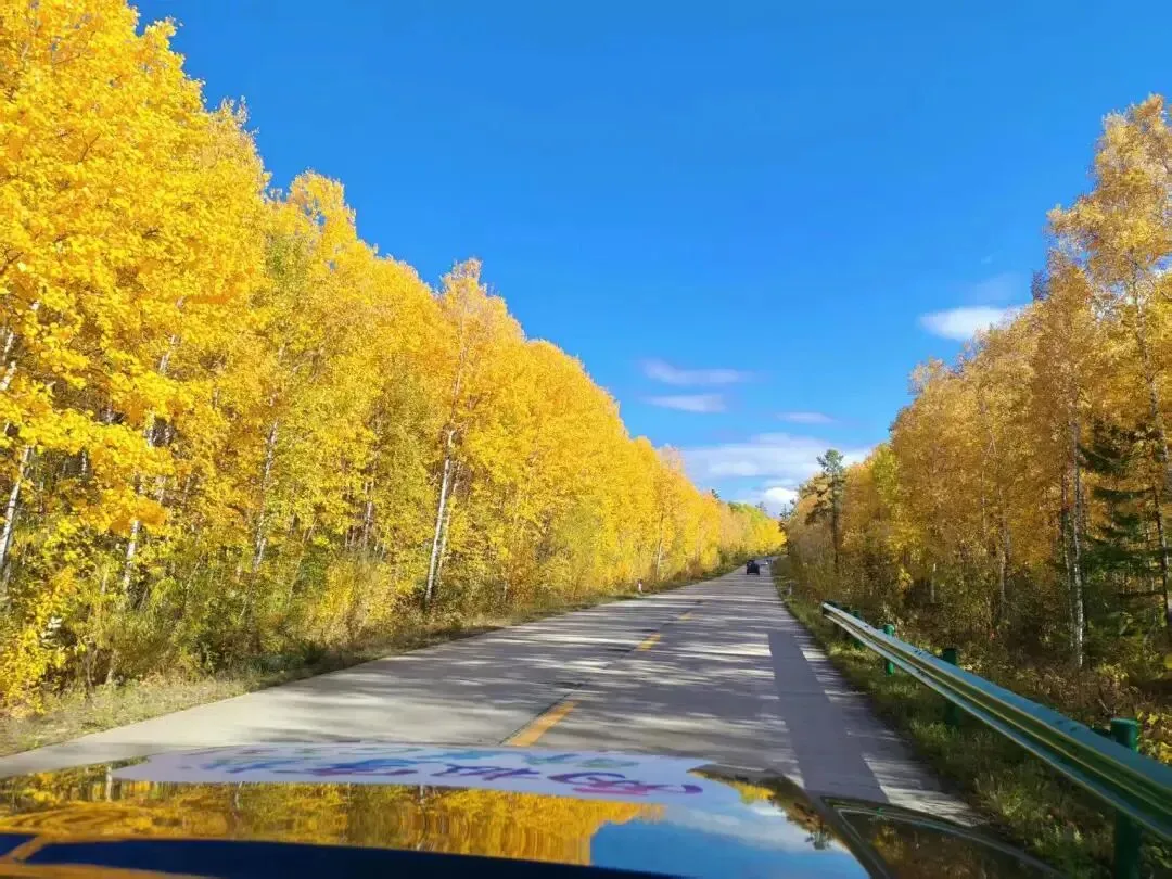 上海市场独家重磅推出《东极穿越北极》大型自驾,唯在黑龙江-2026不可复制的北境自驾史诗之旅!