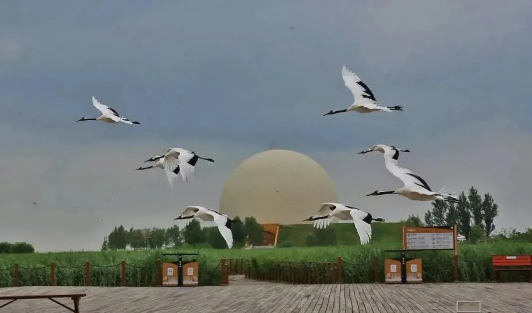 上海市场独家重磅推出《东极穿越北极》大型自驾,唯在黑龙江-2026不可复制的北境自驾史诗之旅!