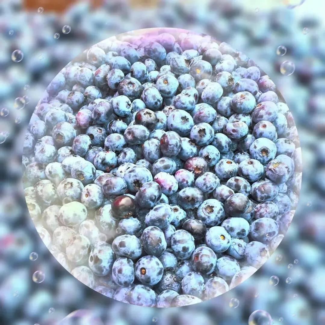 上海市场独家重磅推出《东极穿越北极》大型自驾,唯在黑龙江-2026不可复制的北境自驾史诗之旅!