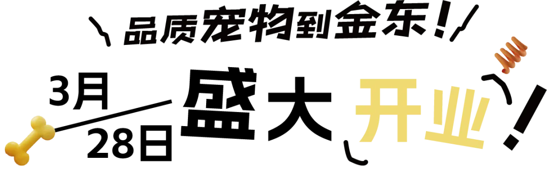 200+宠物大礼包|大型宠物活体市场开业啦!宠物摄影、免费疫苗、宠物运动会,超多福利等你来!