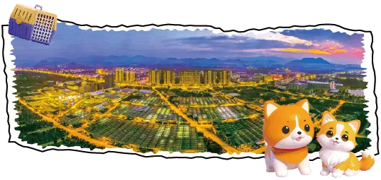 200+宠物大礼包|大型宠物活体市场开业啦!宠物摄影、免费疫苗、宠物运动会,超多福利等你来!